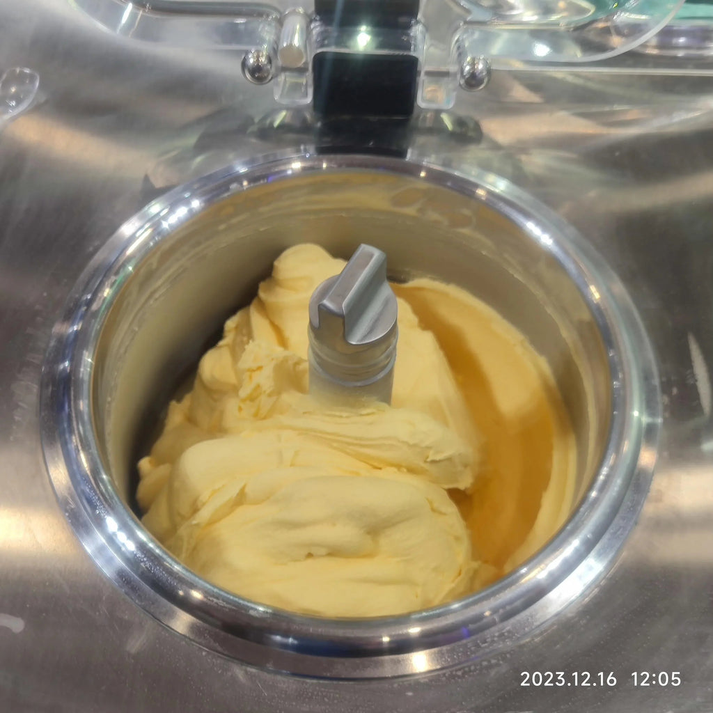 Gelato Machine Batch Freezer Hard Ice Cream Machine, 2 Flavors