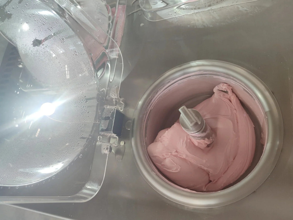 Gelato Machine Batch Freezer Hard Ice Cream Machine, 2 Flavors
