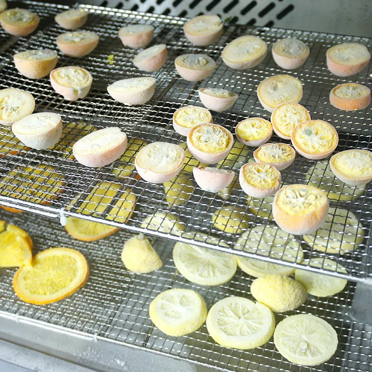 5 Trays chest Blast Flash Chiller Freezer,Dumpling shock Batch Freezer for ice Cream gelato Chicken Fish Dessert