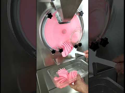Gelato Machine Batch Freezer Hard Ice Cream Machine, 48 L H, ETL